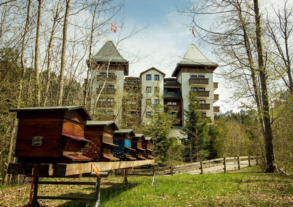 The Alpina Gstaad Hotel Ngoại thất bức ảnh